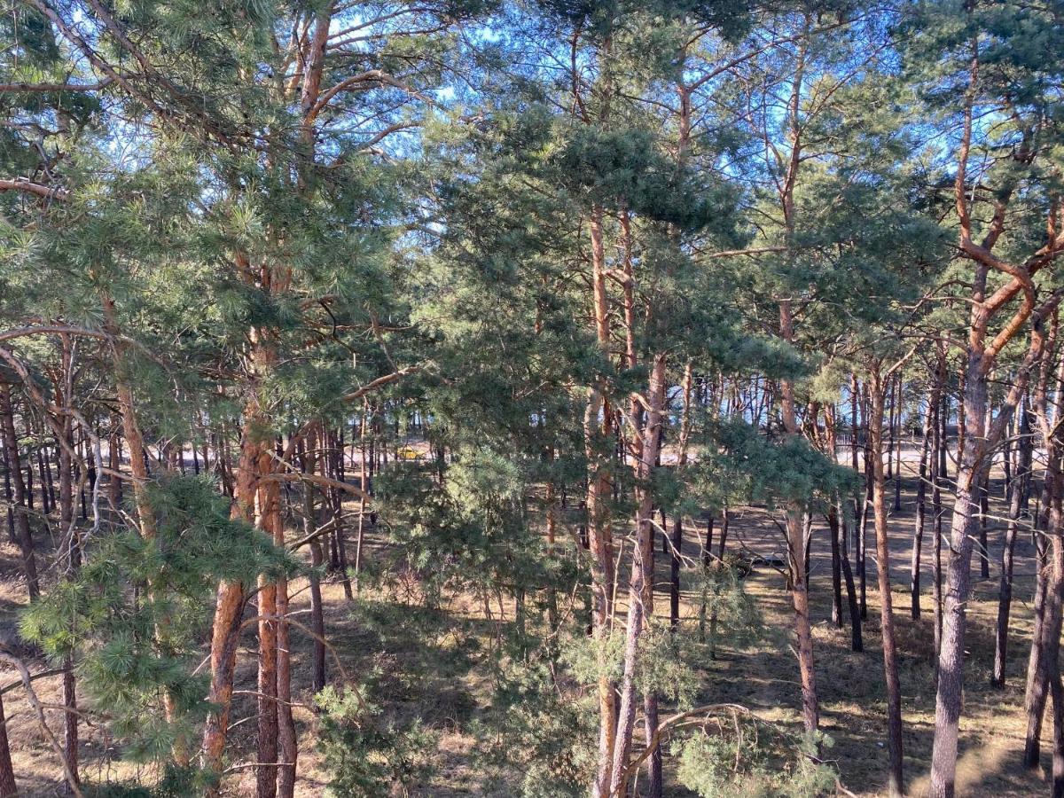 Apartment Family & Business Sauna Apartments: Woodland Retreat With Private Wellness Kielce