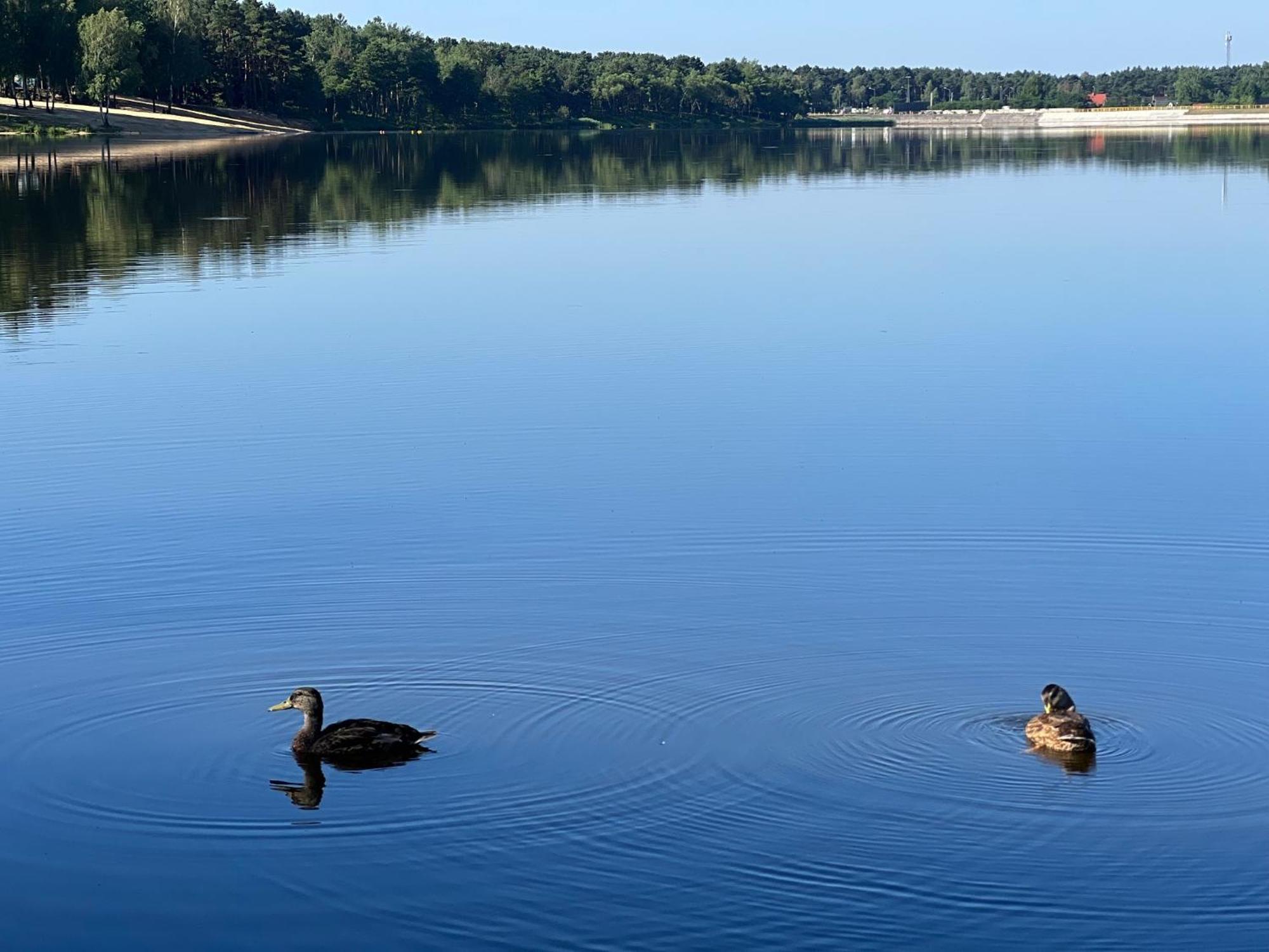 Apartment Family & Business Sauna Apartments: Woodland Retreat With Private Wellness Kielce