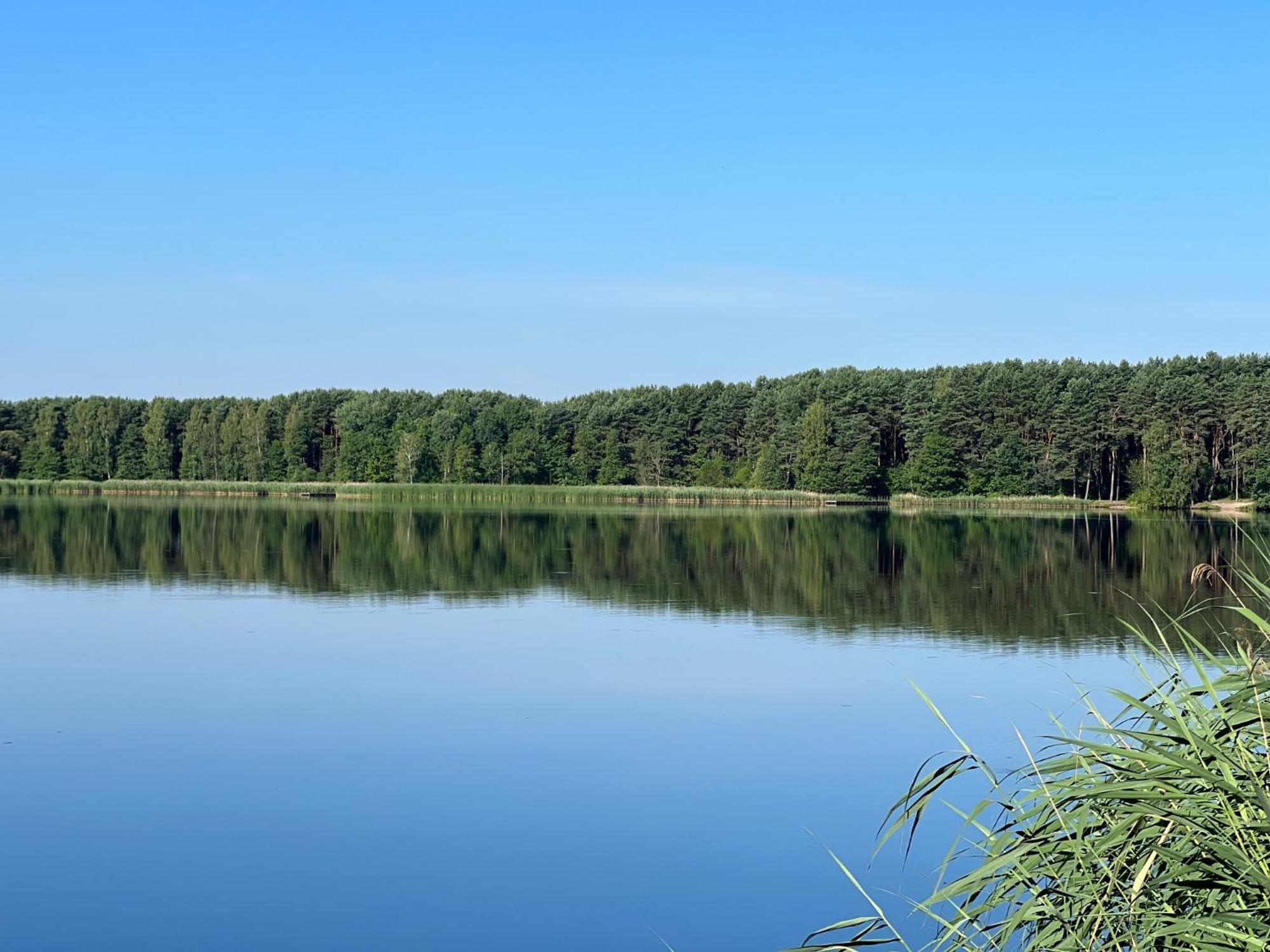 Family & Business Sauna Apartments: Woodland Retreat With Private Wellness Apartment