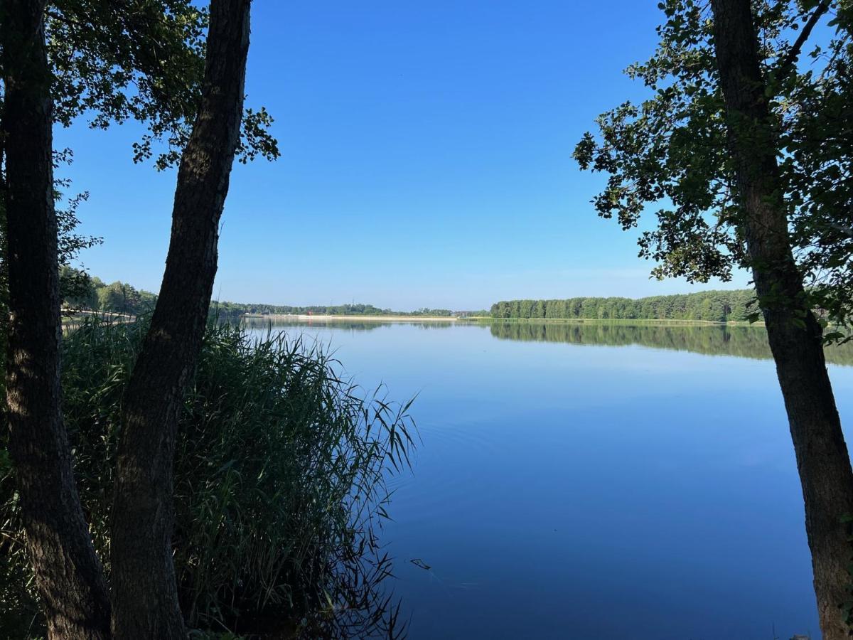 Family & Business Sauna Apartments: Woodland Retreat With Private Wellness * Kielce